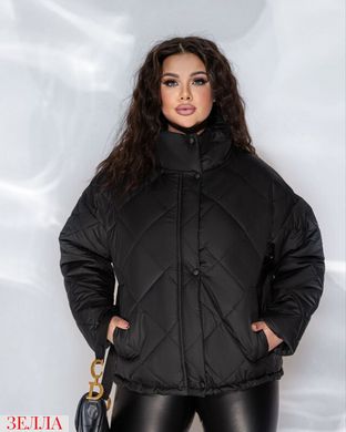 Демісезонна куртка з високою горловиною в розмірі 50-52, 54-56, 58-60, 62-64, 66-69, 70-72, колір чорний.