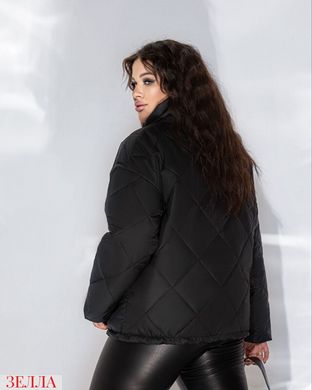 Демісезонна куртка з високою горловиною в розмірі 50-52, 54-56, 58-60, 62-64, 66-69, 70-72, колір чорний.