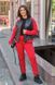 Костюм Бомбер+Штани в розмірі 48-50, 52-54, 56-58, колір червоний.