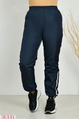 Утеплені штани, у розмірі 48-50, 52-54, 56-58, колір синій